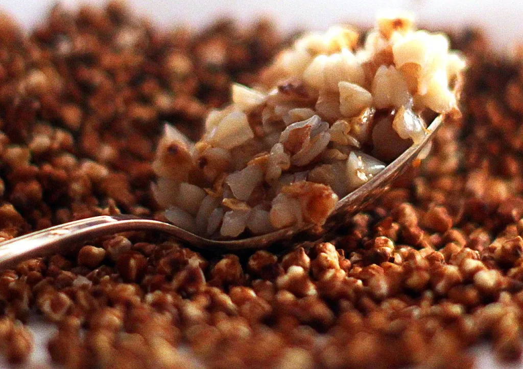 buckwheat-4969410_1280.jpg buckwheat-4969410_1280.jpg