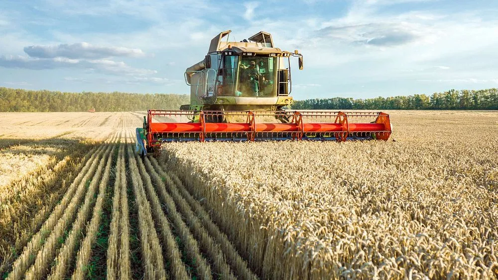 Iran imports 100,000 tonnes of crops through cross-border farming programme.jpg