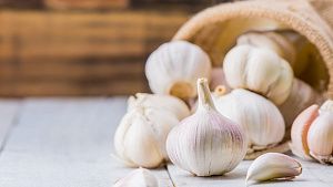 Indonesia Develops Virus-Free Garlic Seeds to Boost Production