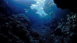 Chinese Modeling Links Mantle Plumes to 40,000 Undersea Seamounts